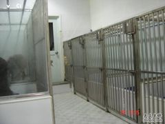 -瑞派动物医院·猫专科·至诚(江南中分院)