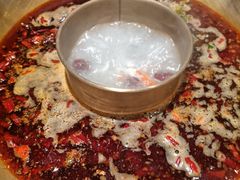 -杨家火锅(国美店)