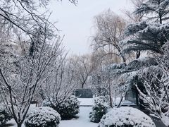 -中国政法大学(昌平校区)