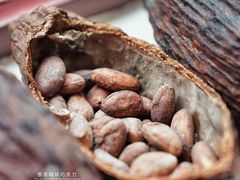 -SANYAY叁言咖啡巧克力