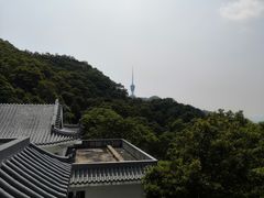 -梧桐山风景名胜区