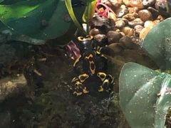 -暹罗海洋世界