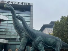 -河南自然博物馆