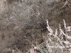 -北京凤凰岭