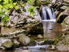 -水磨沟环境自然保护区