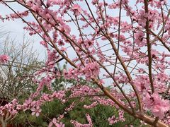 -百里峡七彩艺术小镇