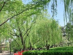 -玲珑塔公园
