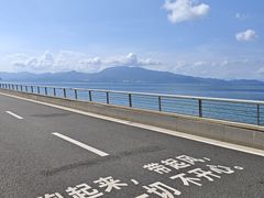 -杨梅坑