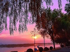 -丁香湖公园