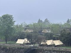 -MOJ coffee(瓯海泽雅水碓坑店)