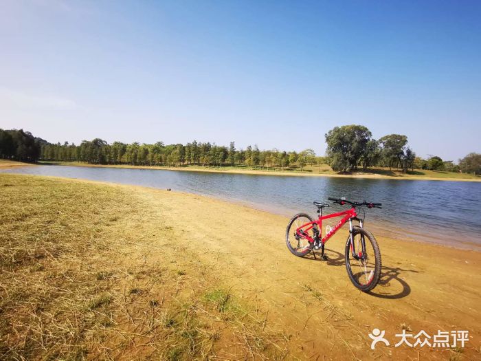 松山湖南湖湾露营营地图片