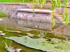 -元大都城垣遗址公园