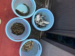 -金海湾海鲜排档(朱家尖店)