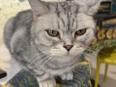 -平行世界·猫咖(首经贸店)