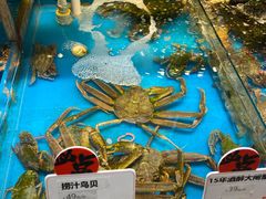 -必点海鲜·鲅鱼水饺(鞍山西道店)