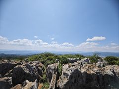 -长虫山生态公园风景林