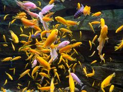 -多彩贵州城极地海洋世界