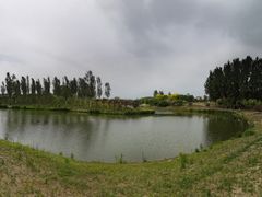 -东郊湿地公园