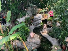 -北京植物园-展览温室