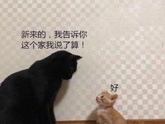 -金家老三饭庄(常营店)