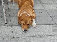 -春家·非遗手工小吃(徐汇万科广场店)