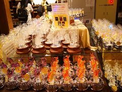 -小樽八音盒堂(手工制作体验馆店)