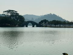 -顺峰山公园