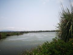 -芒洲湿地公园