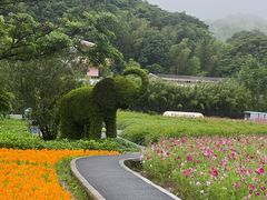 -广州市石门国家森林公园