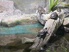 -重庆欢乐海底世界