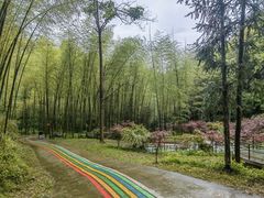 -仙岛湖旅游风景区