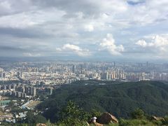 -长虫山生态公园风景林