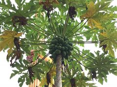 -白沙门生态公园