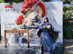 -沈阳方特欢乐世界