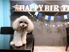 -百好乐宠物友好餐厅(朝外大街店)