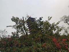 -牛首山文化旅游区