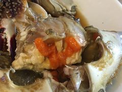 -普乐酱蟹(coex店)