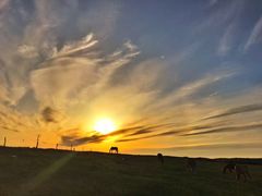 -塞罕坝国家级自然保护区