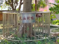 -广州神农草堂中医药博物馆