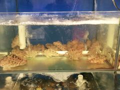 -渔中舟海鲜大排档(普陀沈家门店)