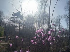 -长春市南湖公园