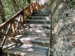 -广州市流溪河国家森林公园