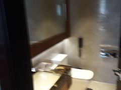 -郑州美盛喜来登大酒店