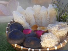 -芸山季·云南野生菌火锅(宝能环球汇店)