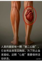 -AN普拉提女子健身工作室