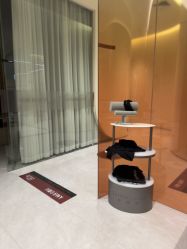 -星和深湾荟医疗美容