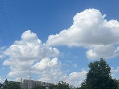 -伯友茶记(中华广场店)