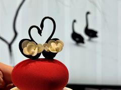 -BLACKSWAN黑天鹅(环球店)