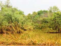 -西溪国家湿地公园