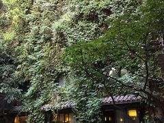 -竹吟山房